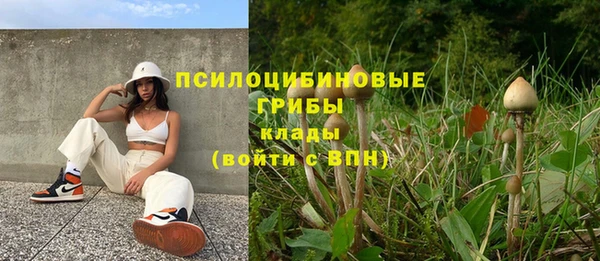 амф Алзамай
