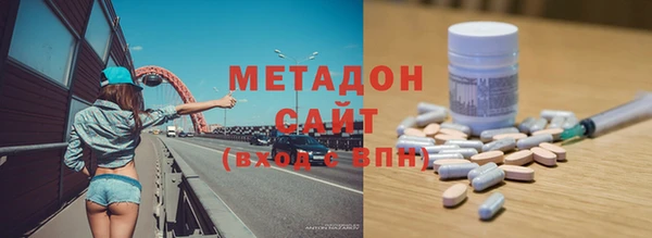 индика Алексин
