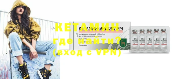 индика Алексин
