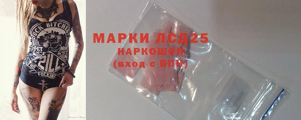 индика Алексин